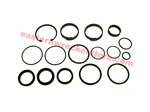 Jerr Dan hydraulic cylinder seal kit, for cylinders with 3" ID.  part# 7577250024.  Hydraulics, seals, rings, o, ring, kits, valve, valves, hydraulic, ram, rod, push, roll, tilt, extend, wheel lift, OEM, replacement, parts, accessories, towing, recovery.